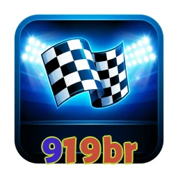919br